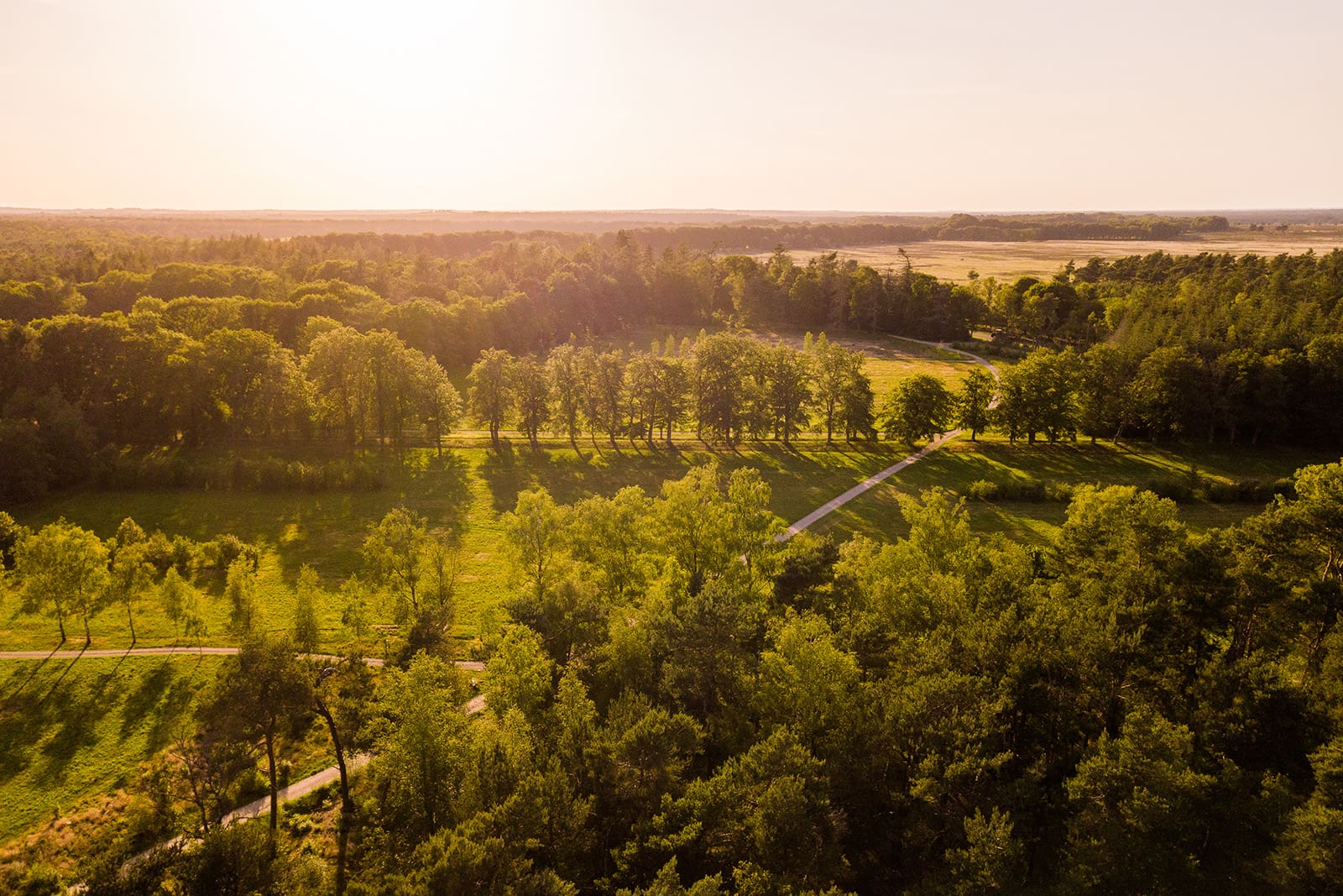 natuurbegraafplaats Heidepol in Arnhem