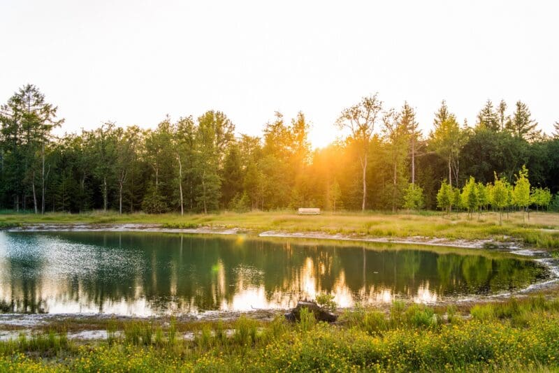 natuurbegraafplaats Schoorsveld