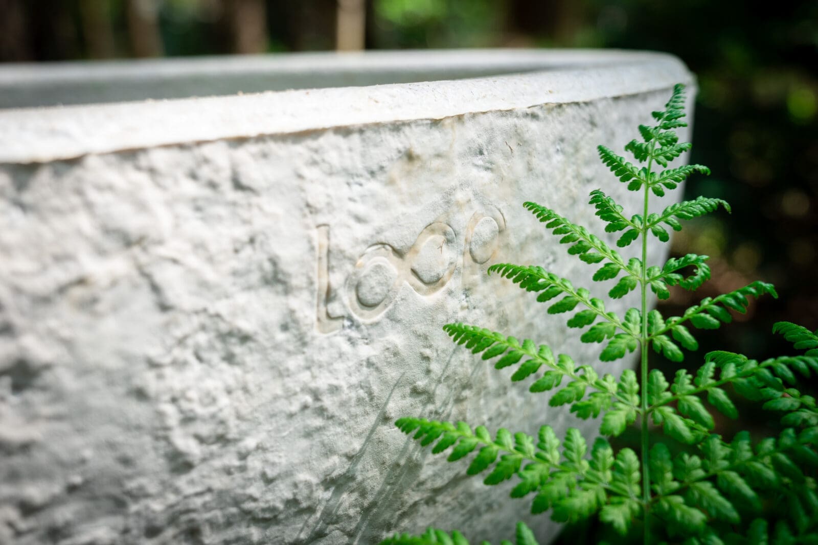 Wat is mycelium - Natuurbegraven Nederland