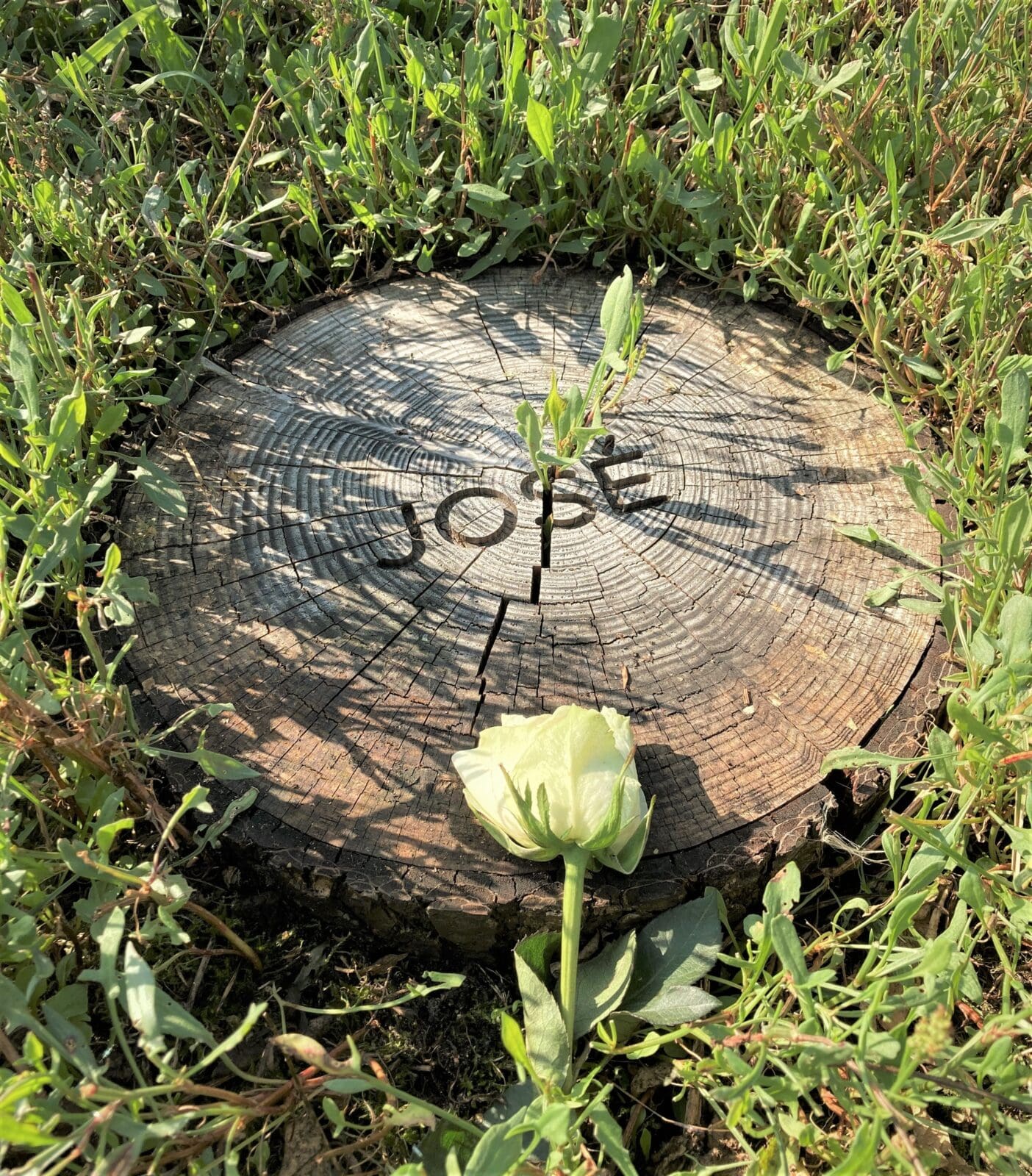 Gedenkteken van onbehandeld hout op natuurbegraafplaats Heidepol