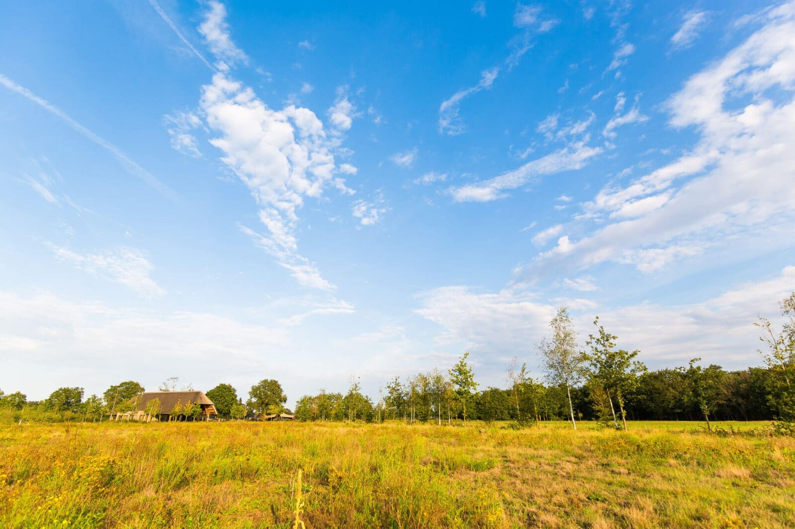 uitzicht over natuurbegraafplaats Maashorst met blauwe lucht