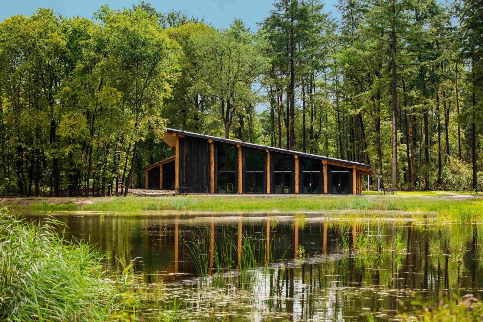 gebouw van natuurlijke elementen in bos voor vijver