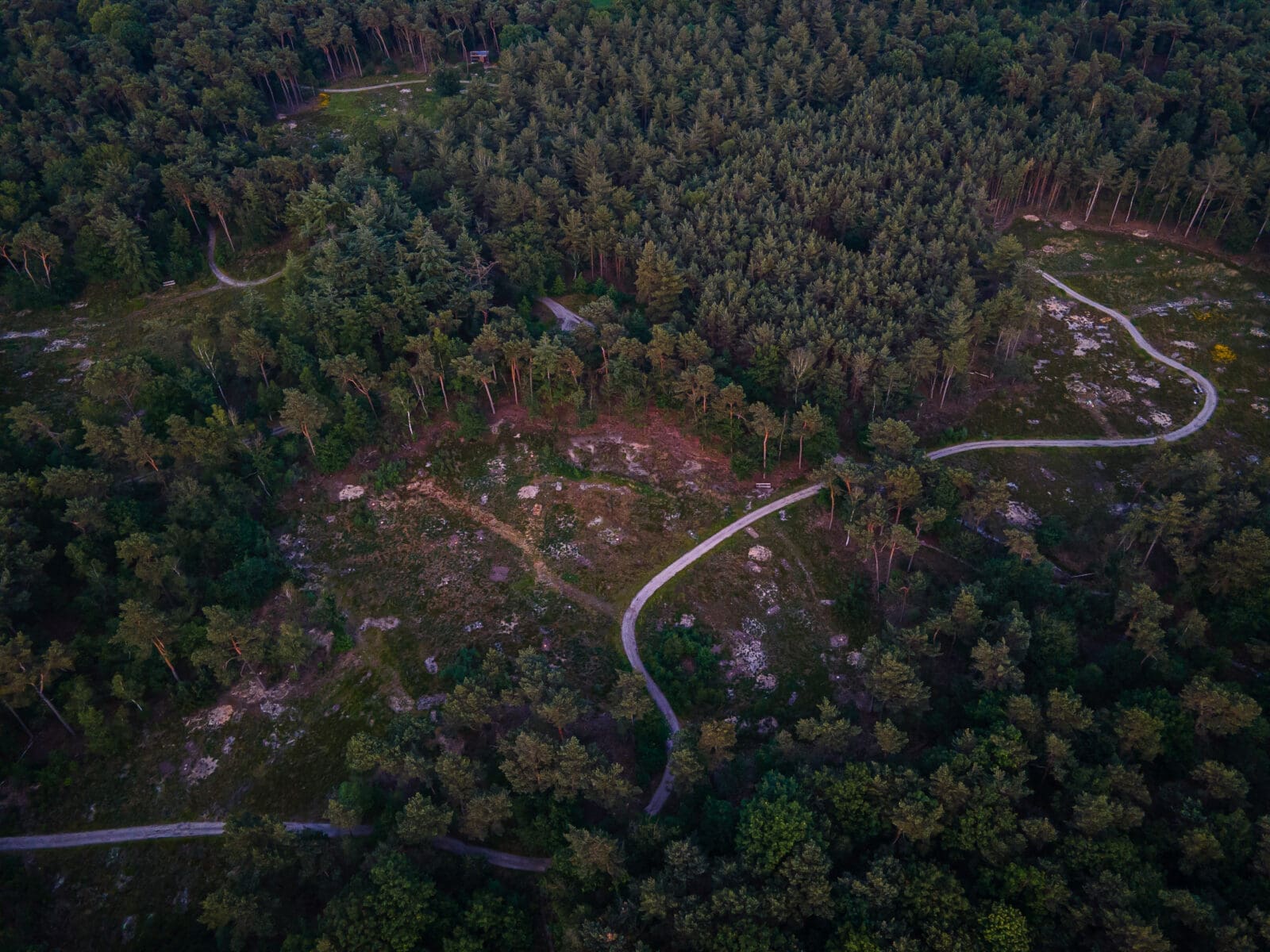 onverhard-pad-dat-door-natuurgebied-loopt-vanuit-vogelperspectief